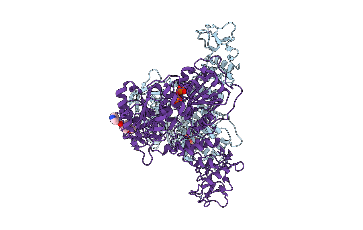5RMA image