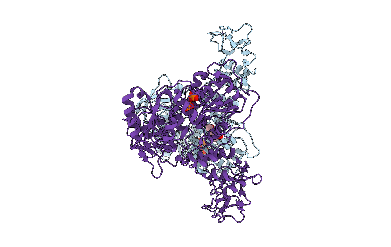 5RMC image