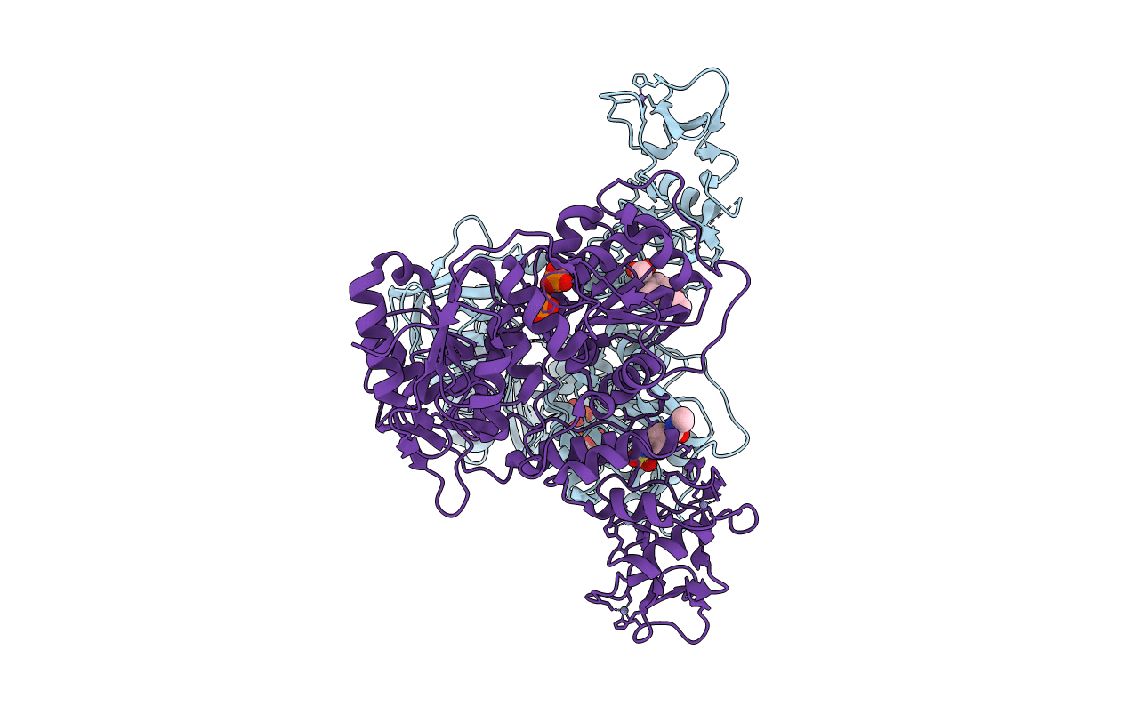5RMD image