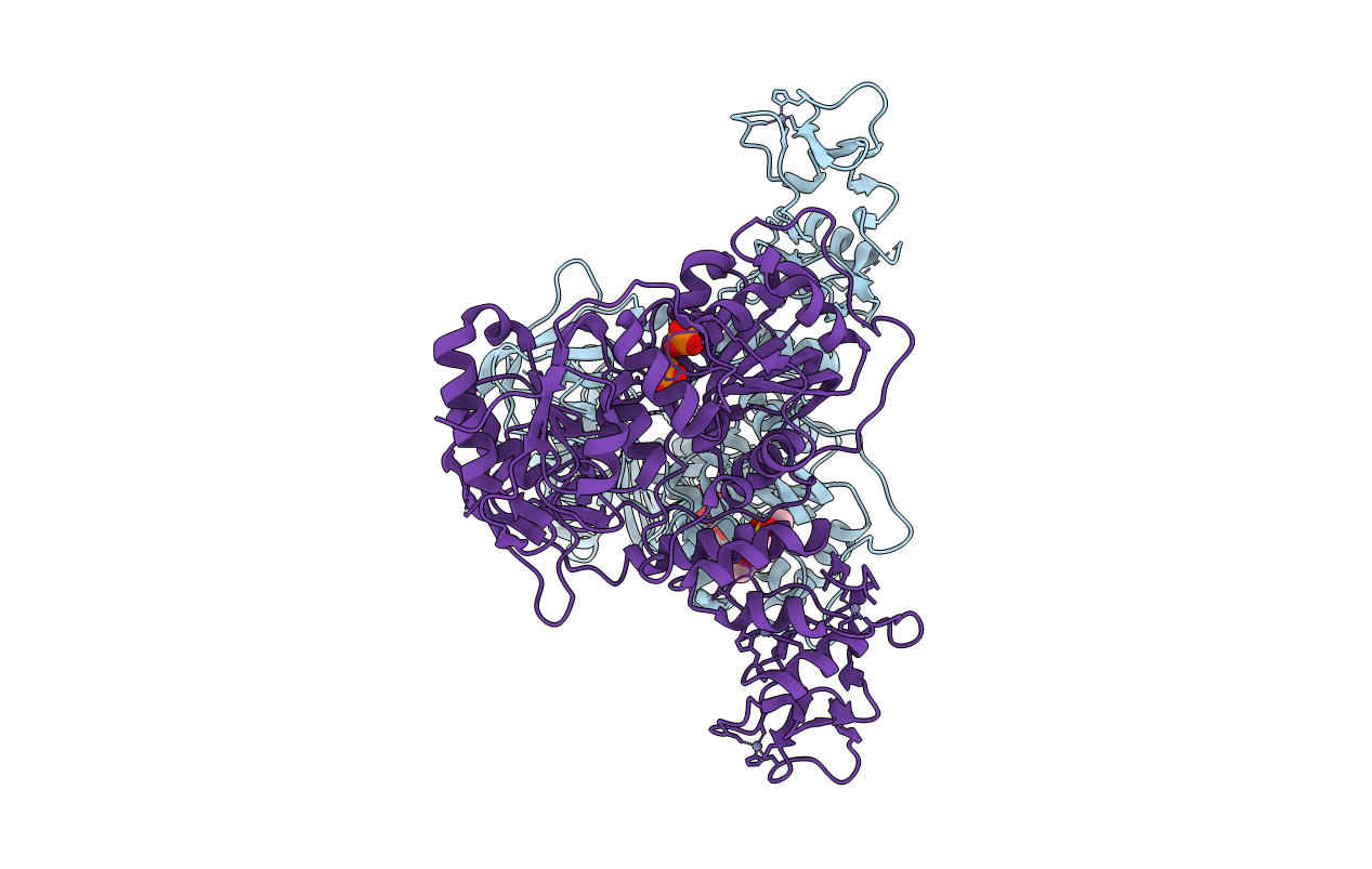 5RMI image
