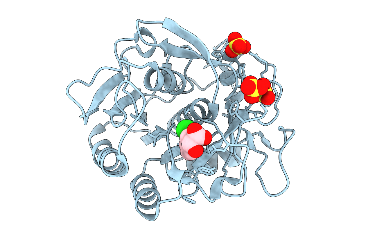 5ROP image