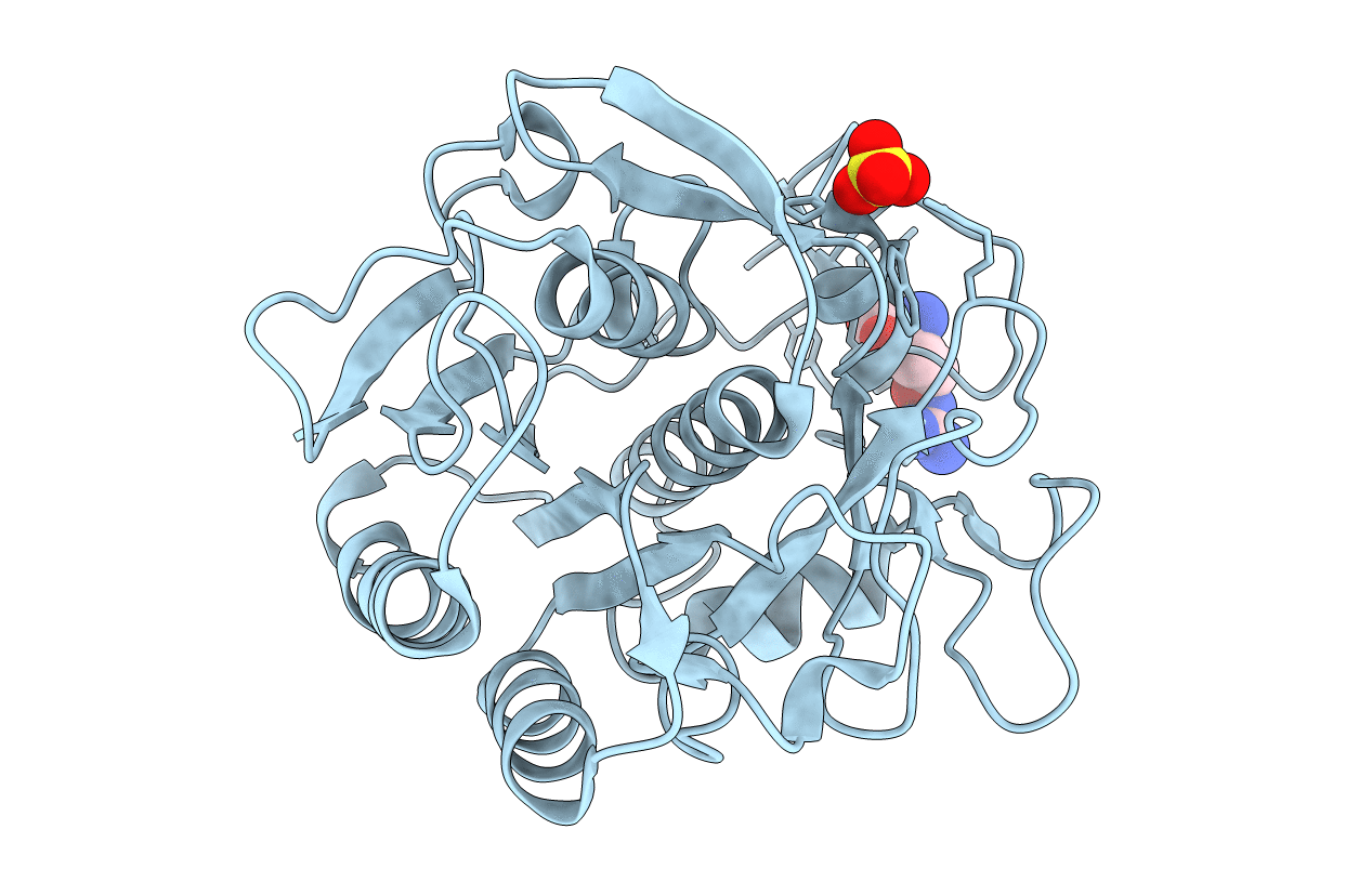 5RPD image