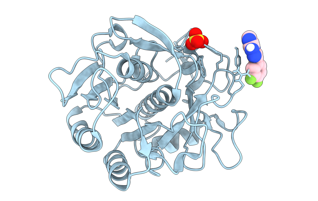 5RPH image