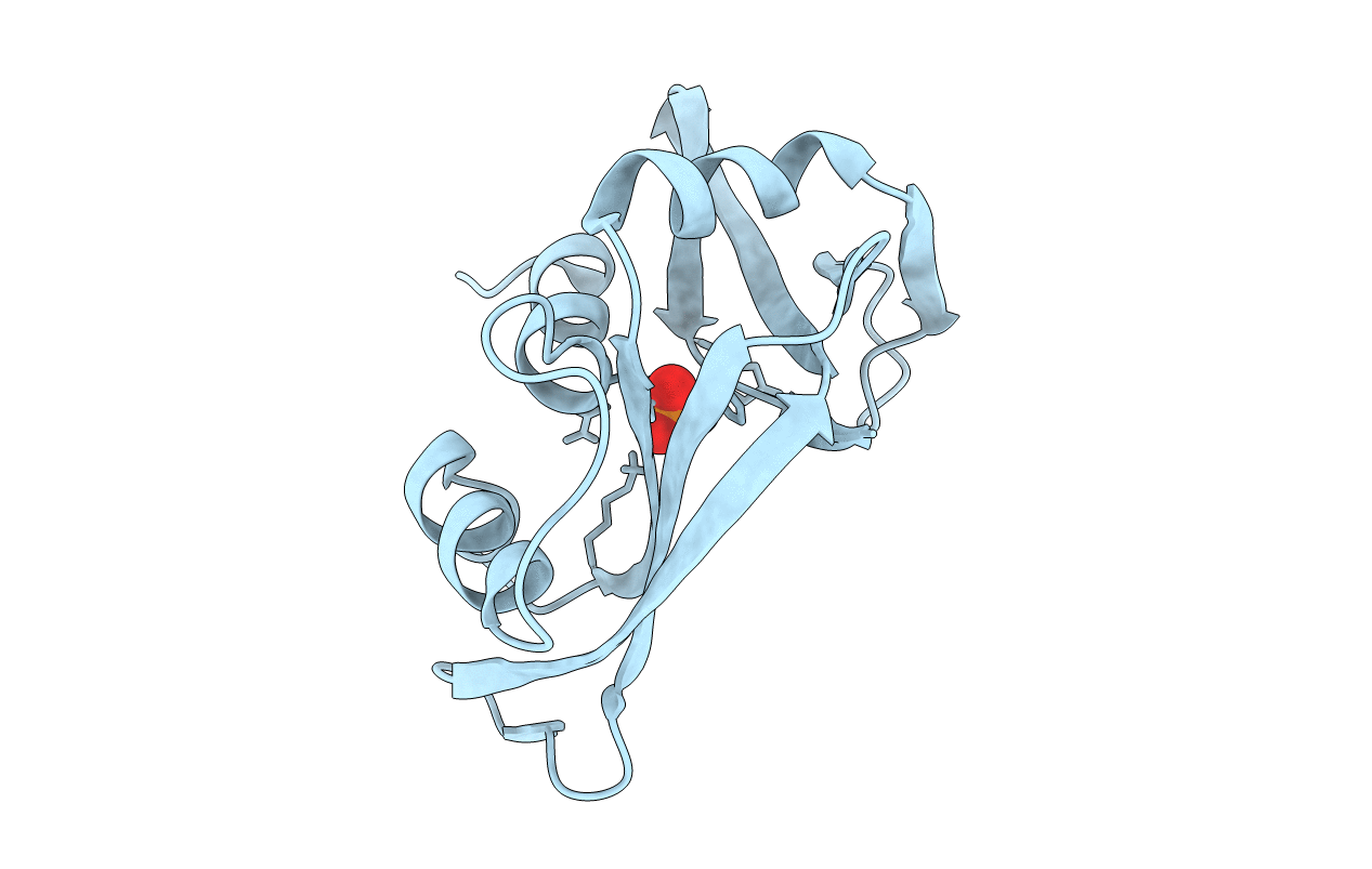 5RSA image