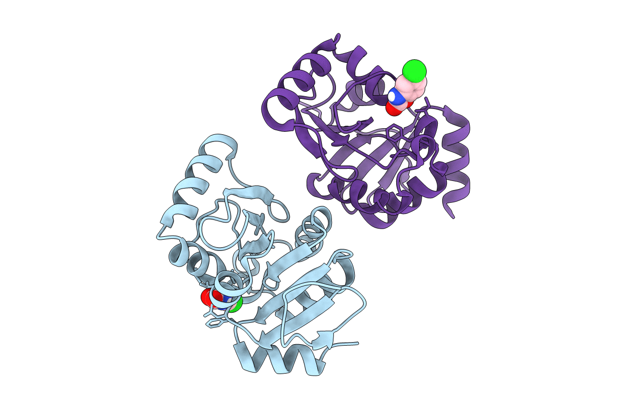 5RVI image