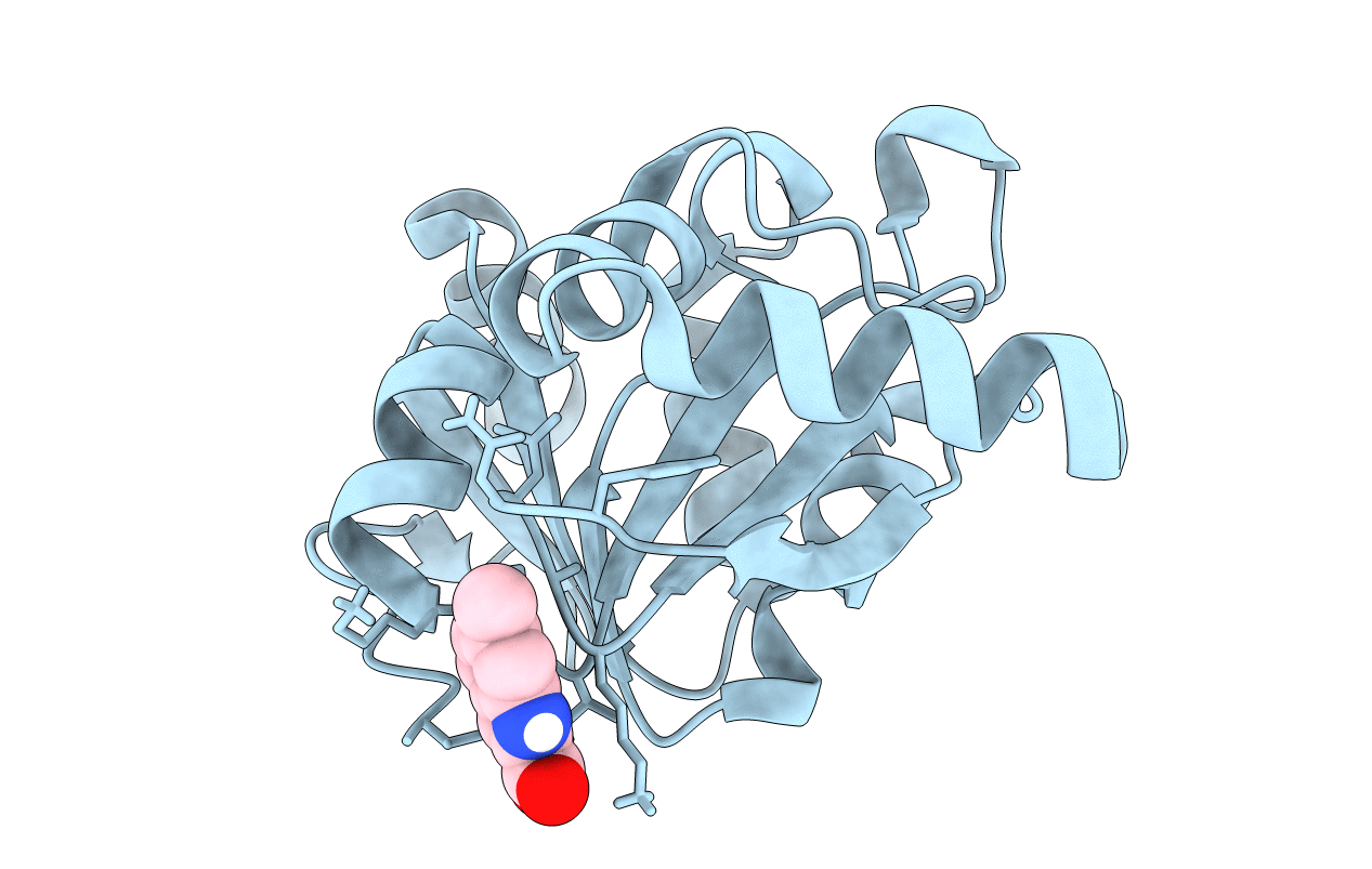 5RVT image