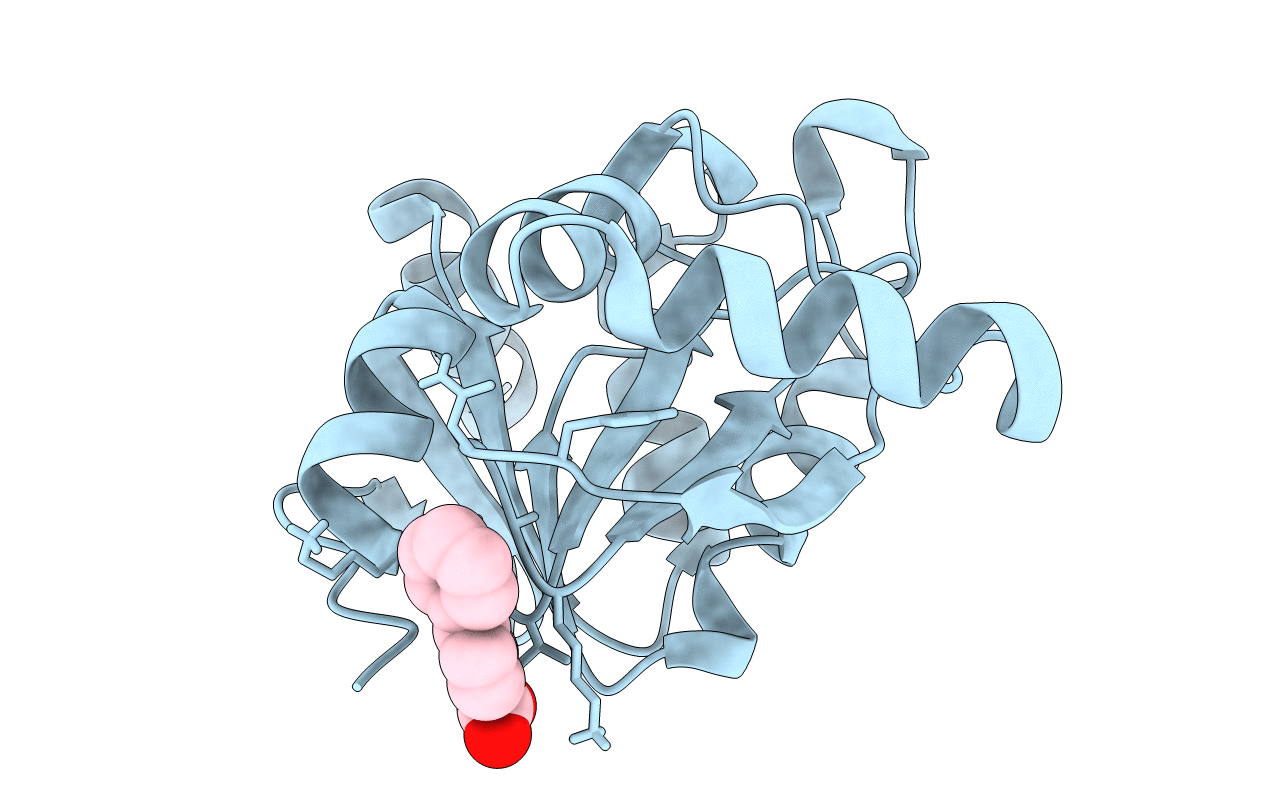 5RVU image