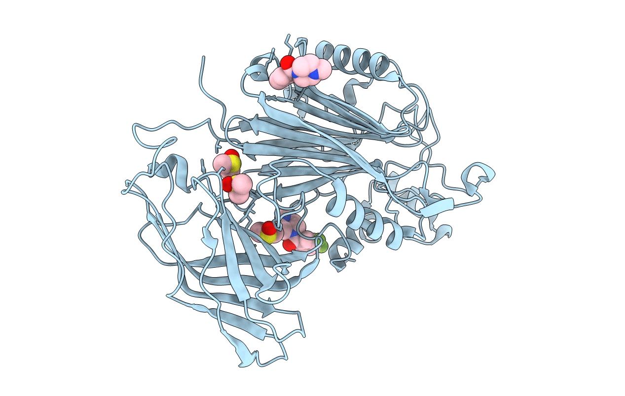 5RXA image