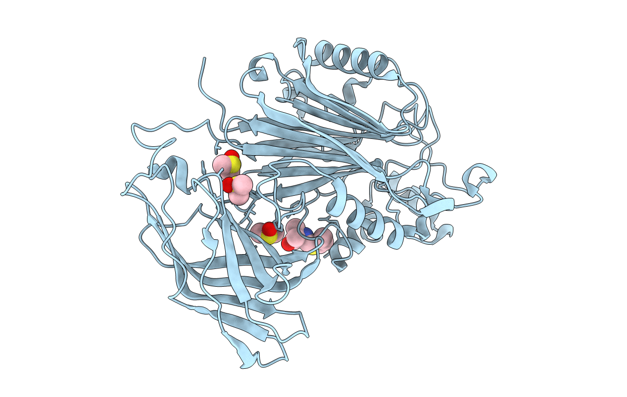 5RXB image