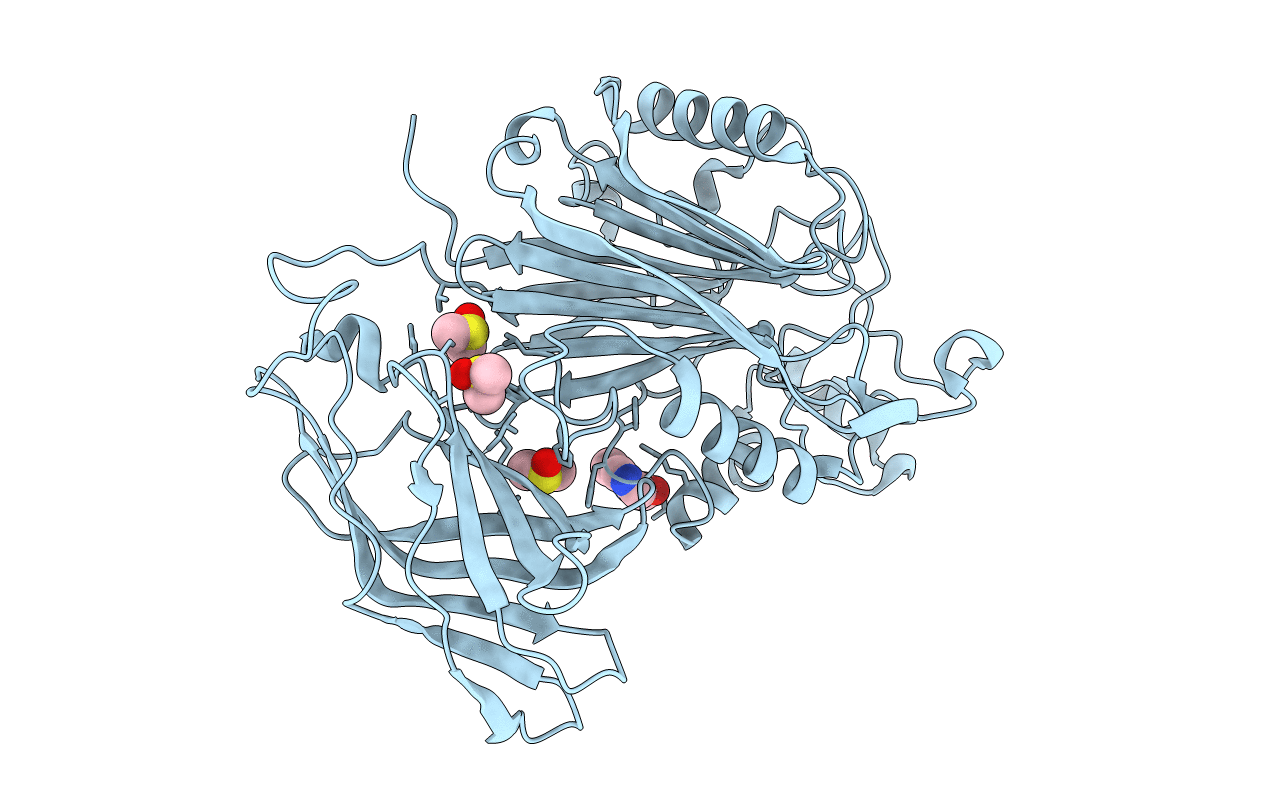 5RXR image