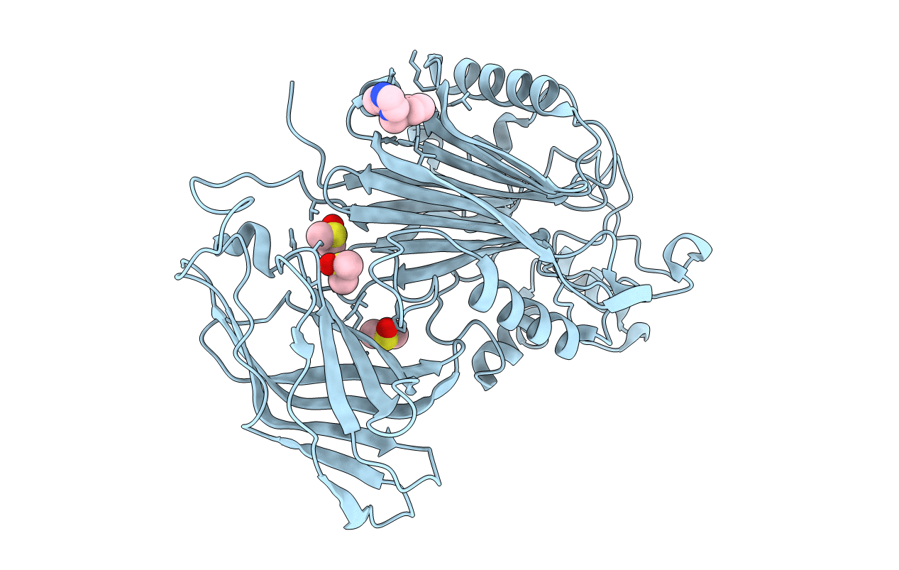 5RXT image