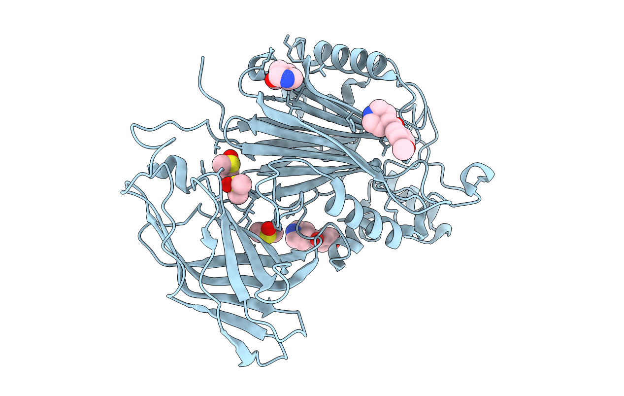 5RYA image