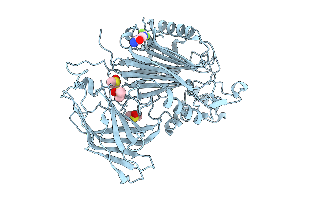 5RYL image