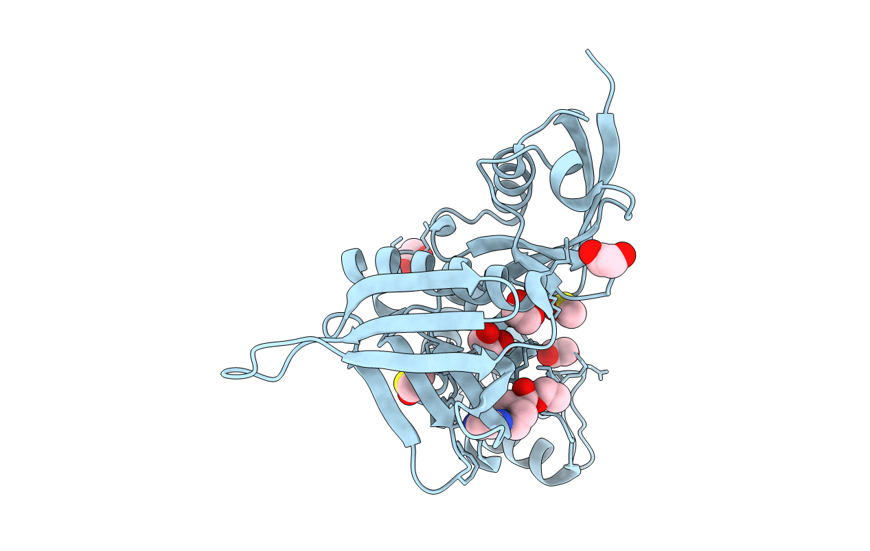 5RYM image