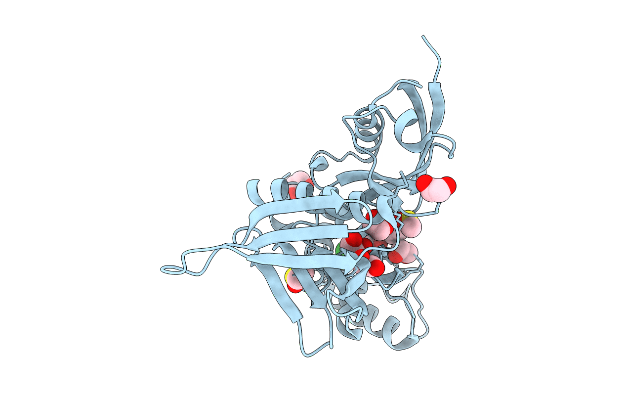 5RYS image