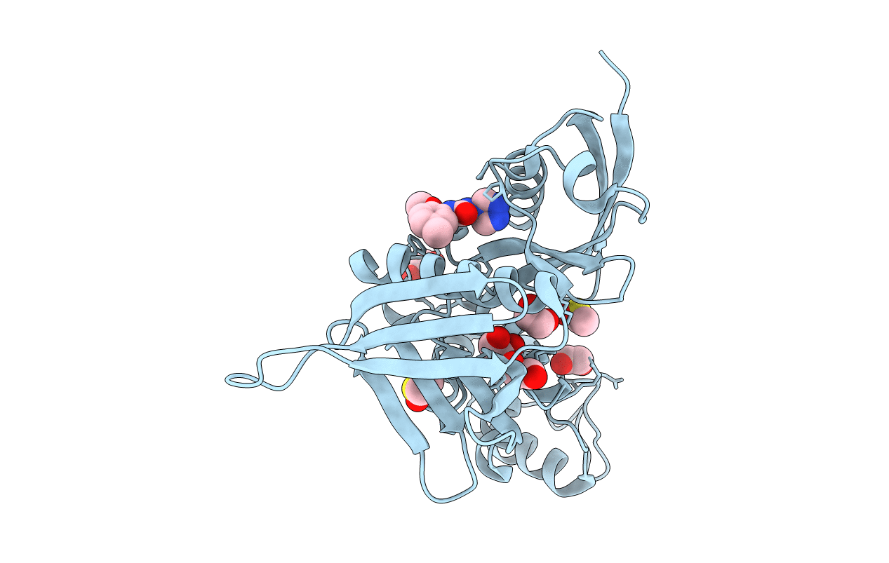 5RYX image