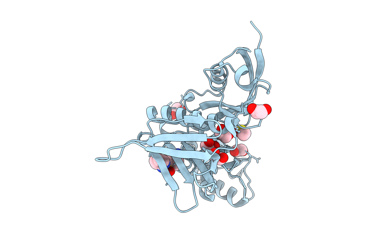5RZB image