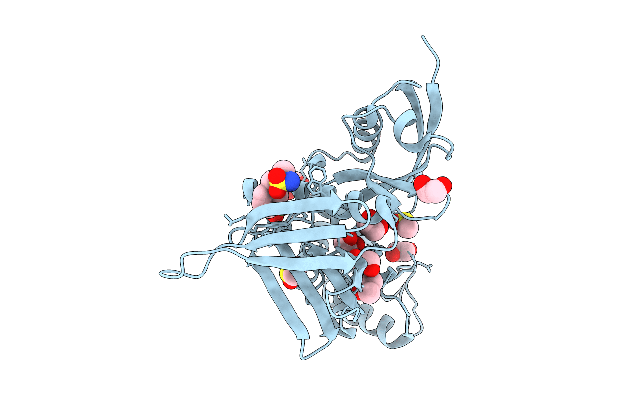 5RZC image