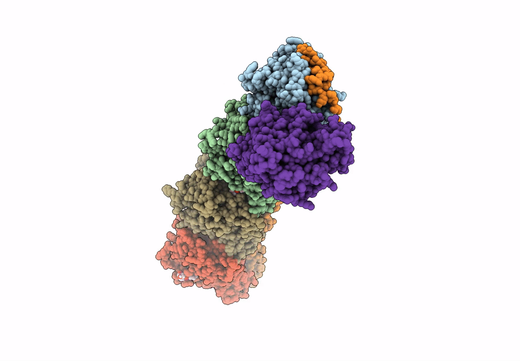 5S61 image