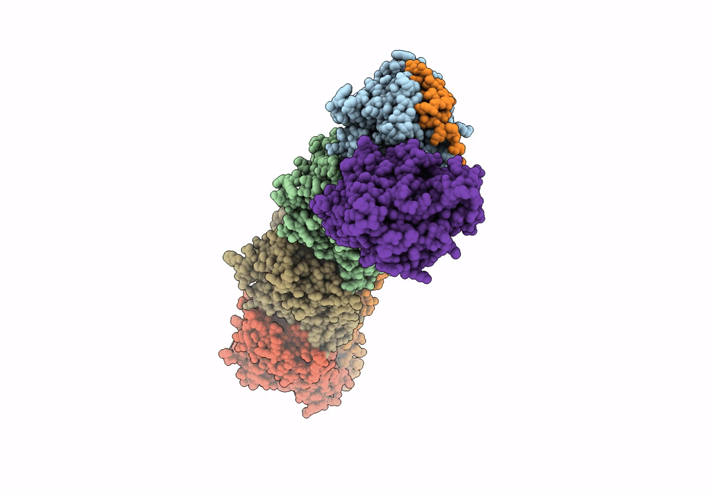 5S63 image