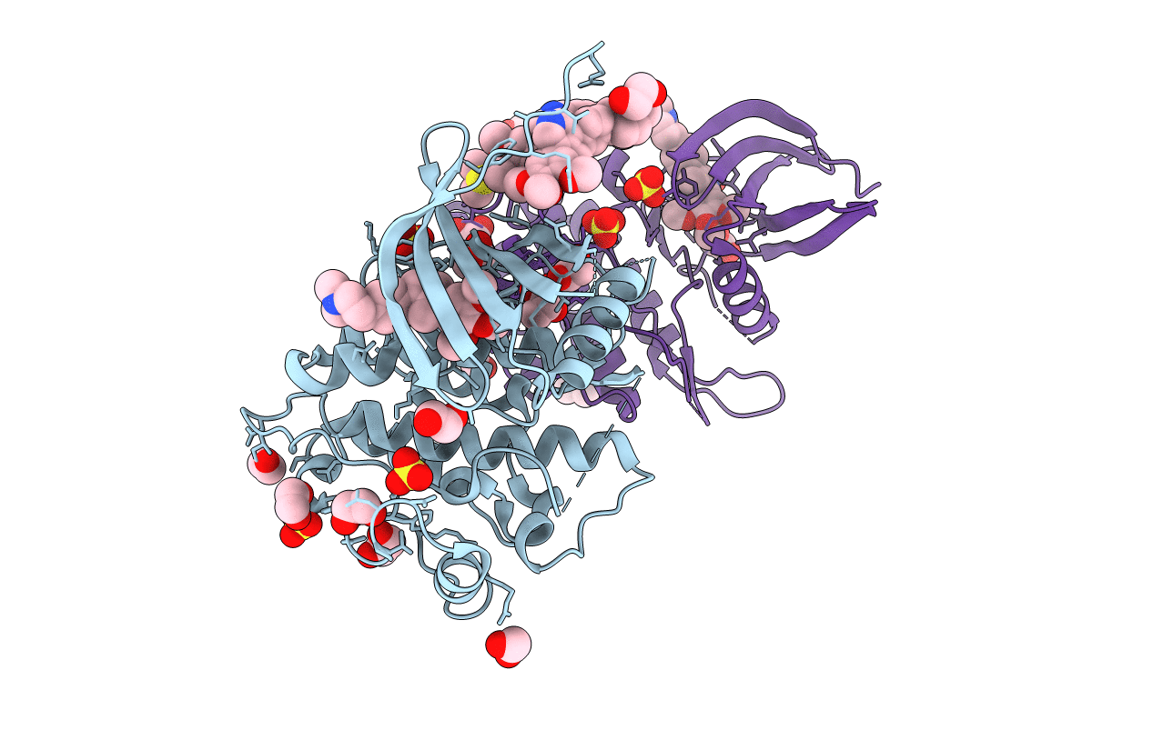 5S82 image
