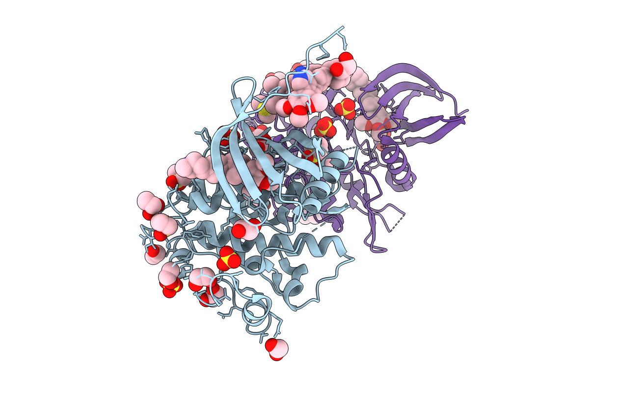 5S8B image
