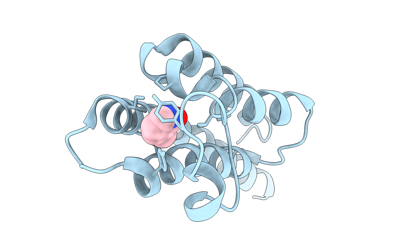 5S8H image