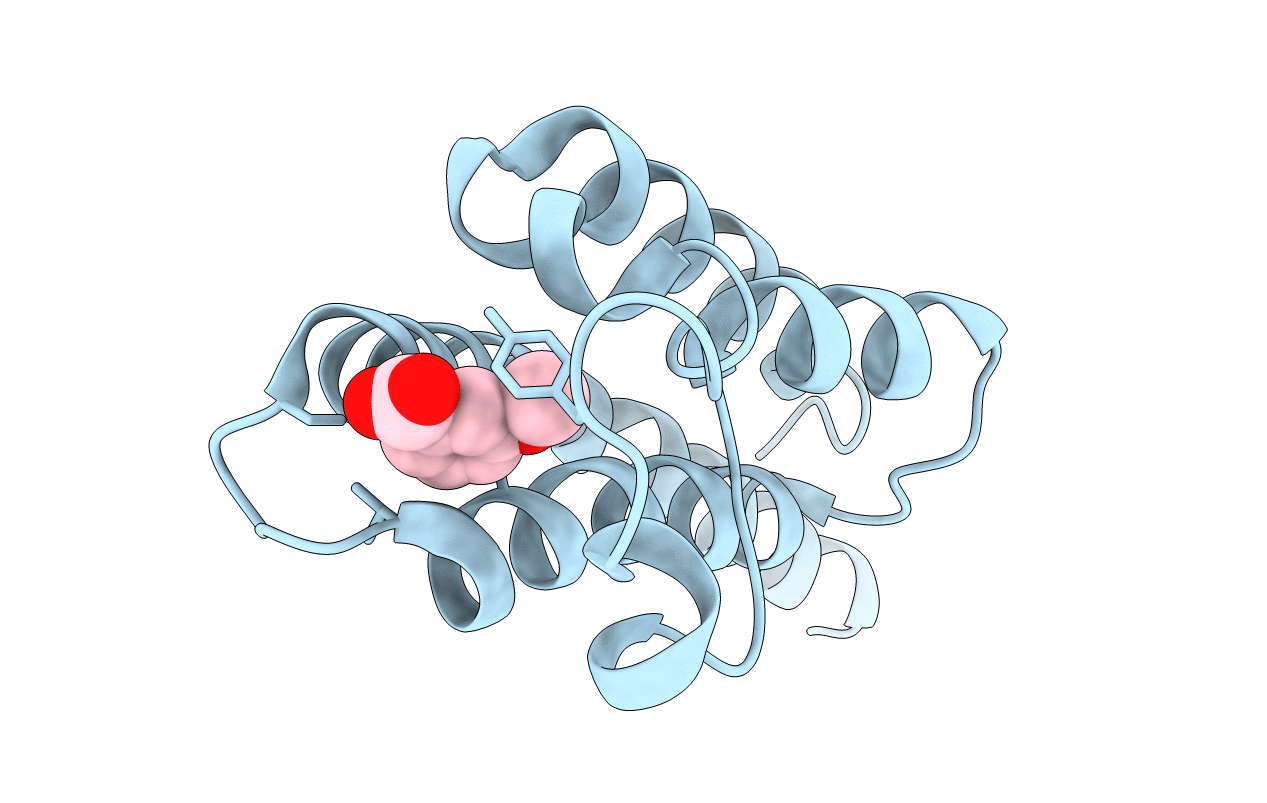 5S9B image