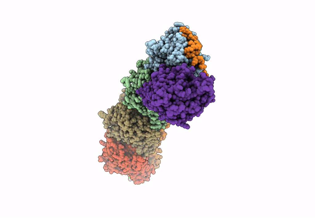 5SBA image