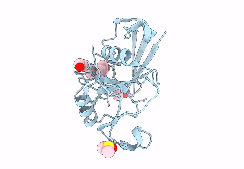 5SBK image