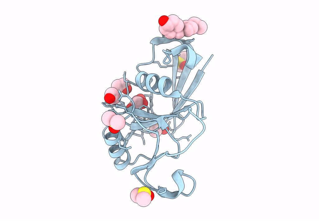 5SBW image