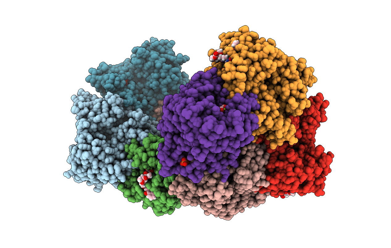 5SCI image