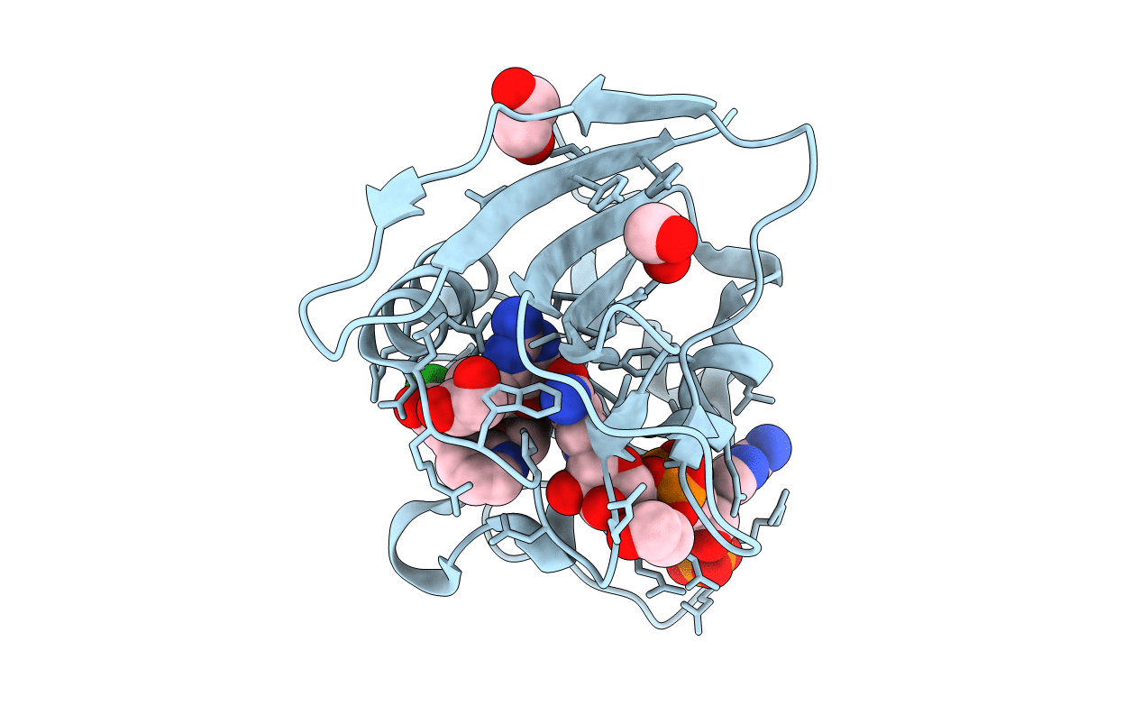 5SD4 image