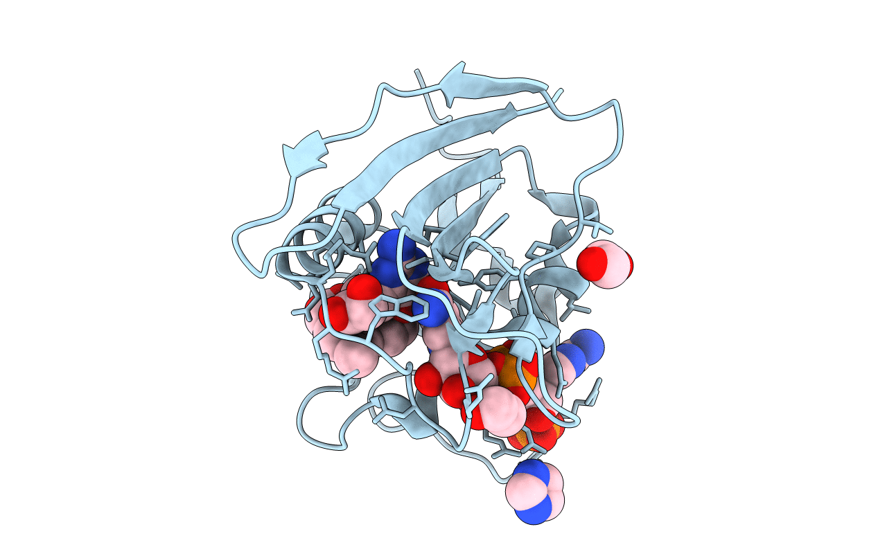 5SD5 image