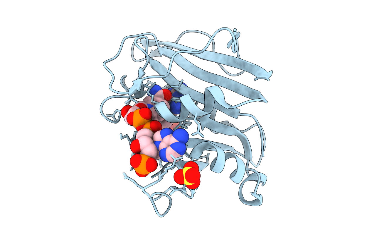 5SD8 image