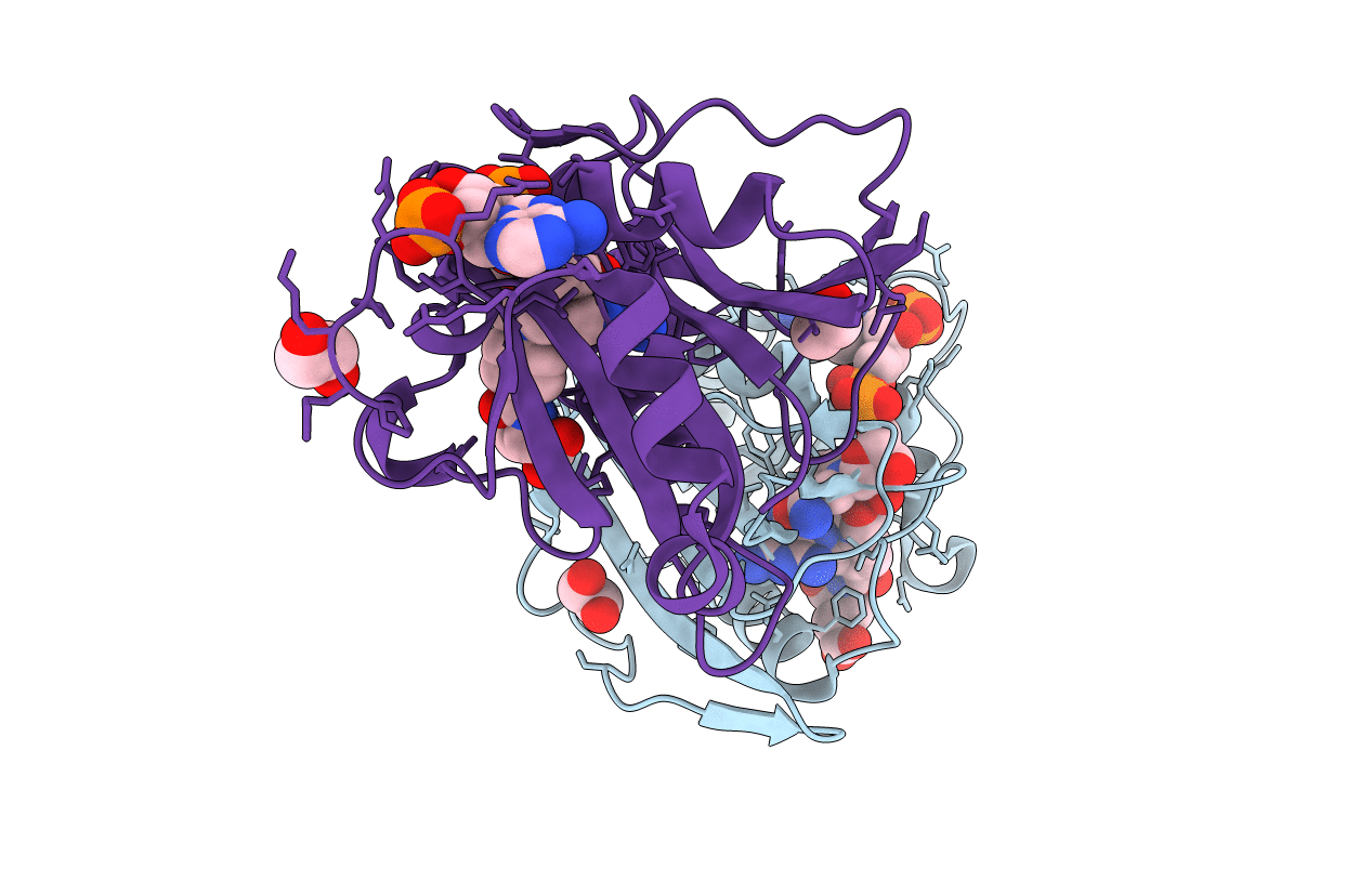 5SDB image