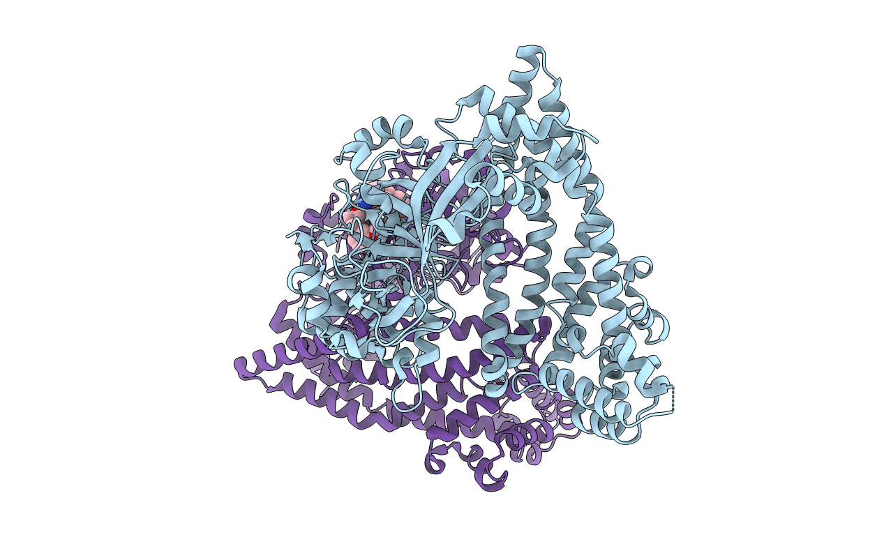 5SDH image