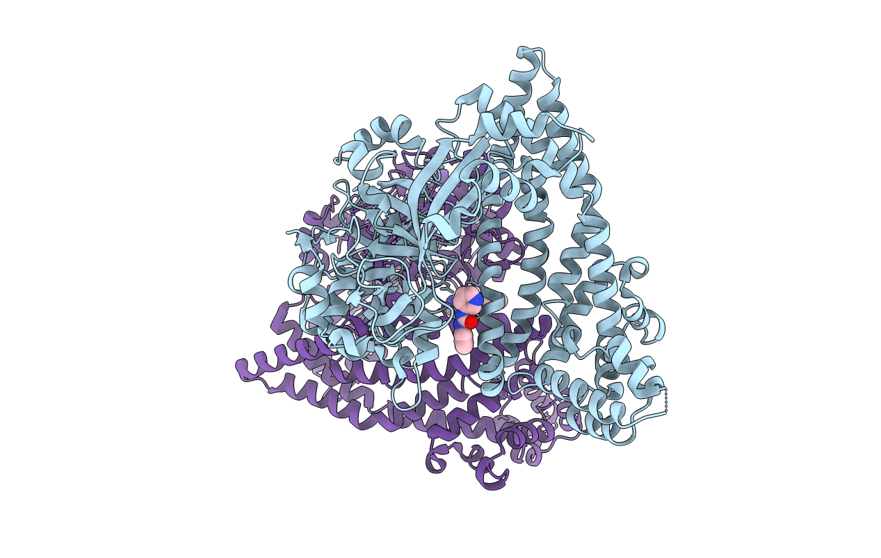 5SDI image