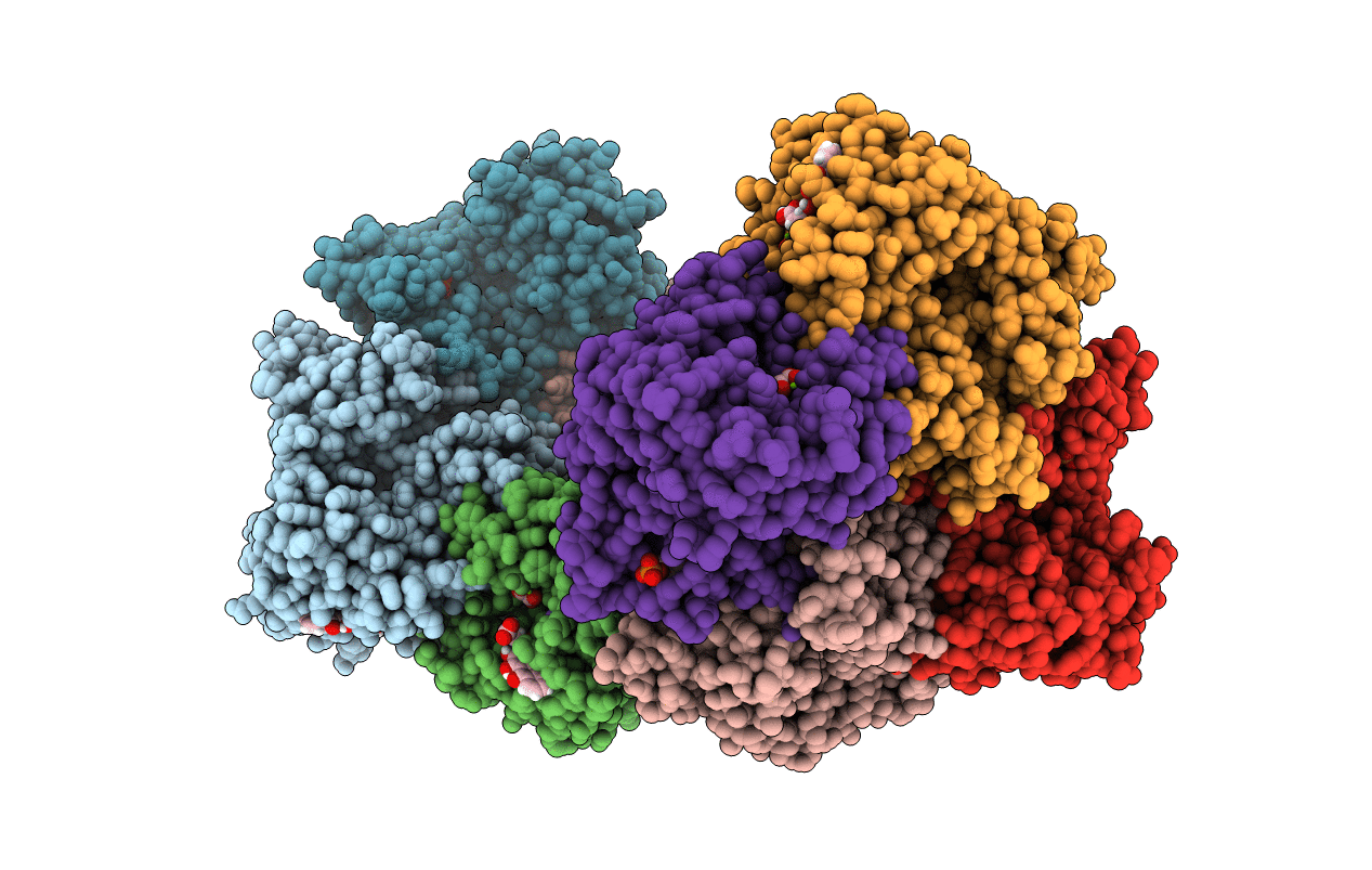 5SDT image