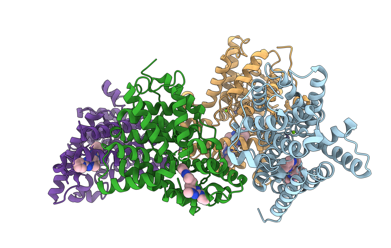 5SEB image