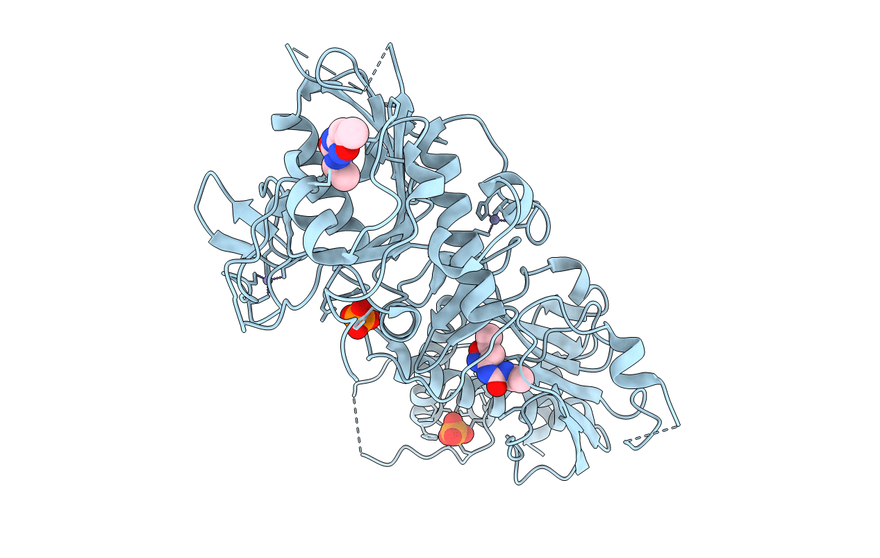 5SLE image