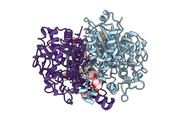 5SNA image