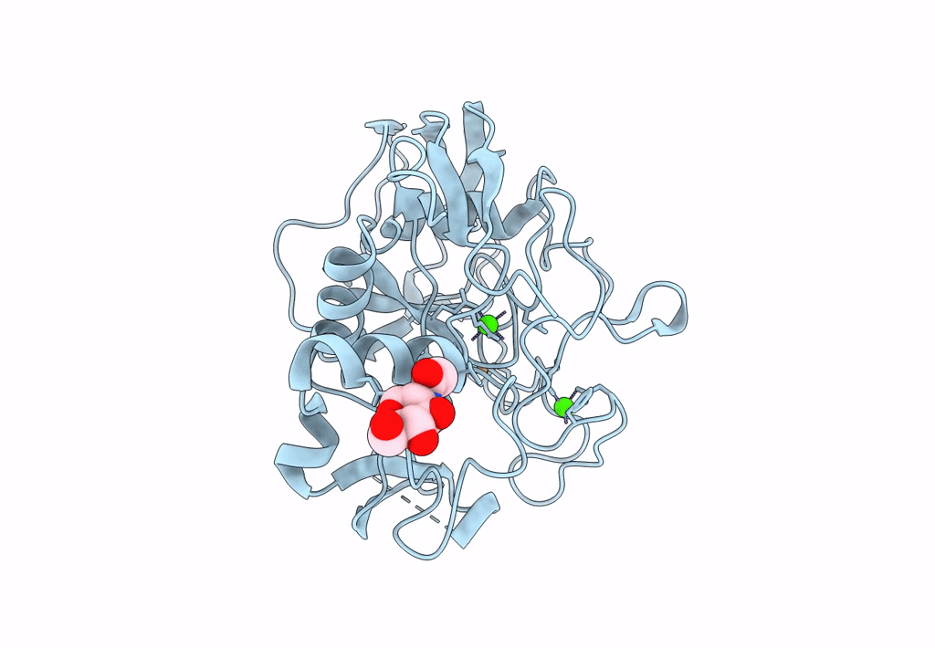 5SSZ image