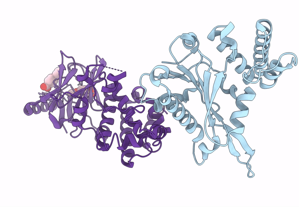 5STG image