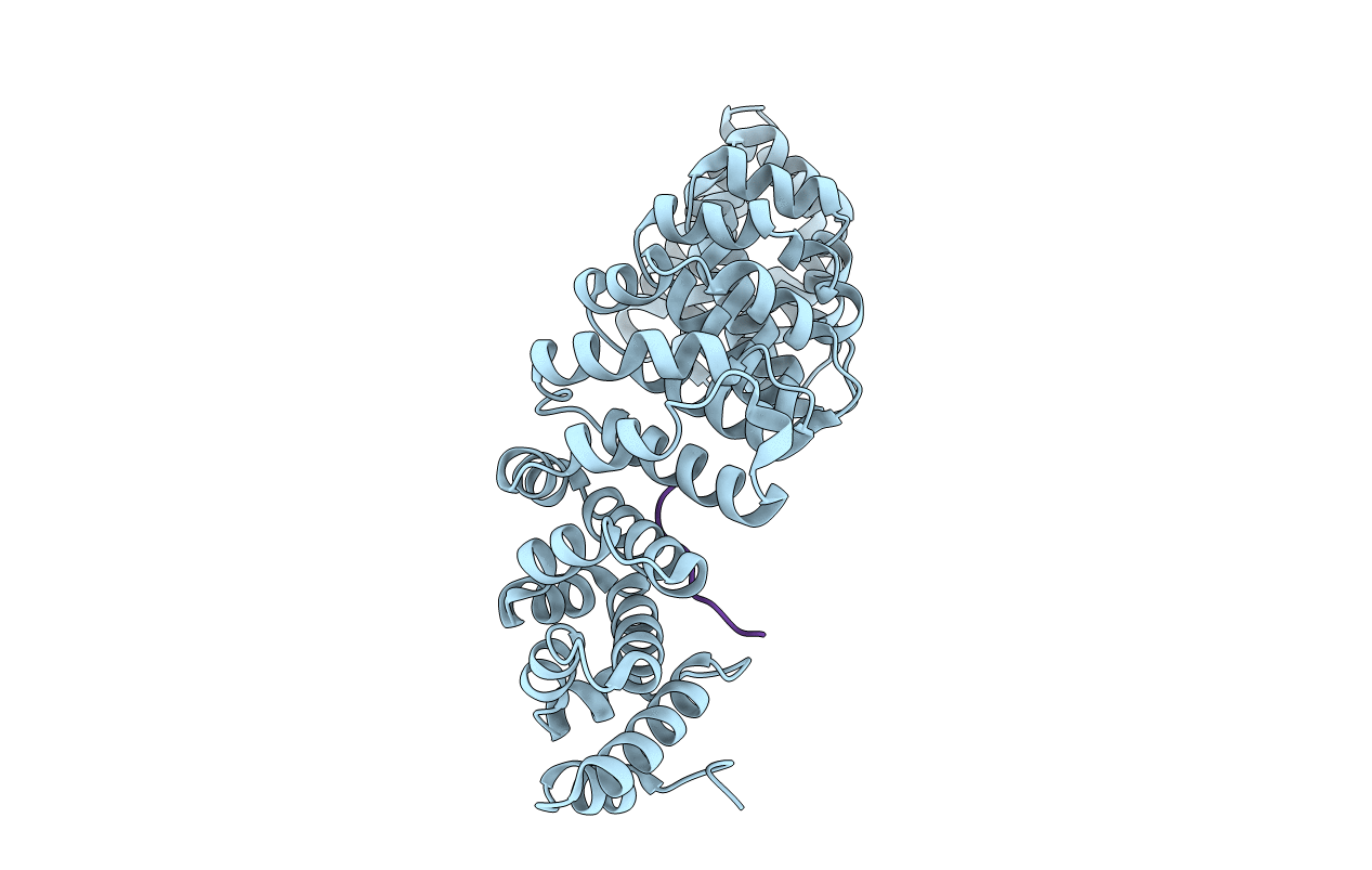5SVZ image