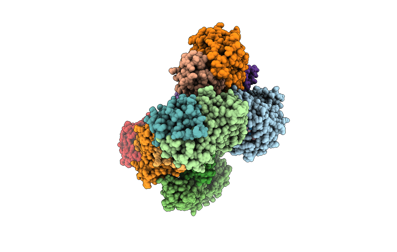 5SWZ image