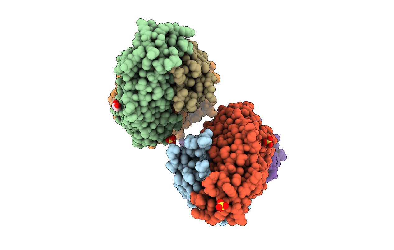 5SX4 image
