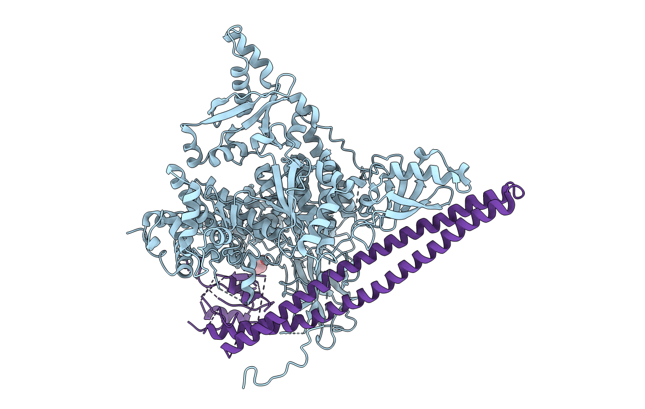 5SXI image