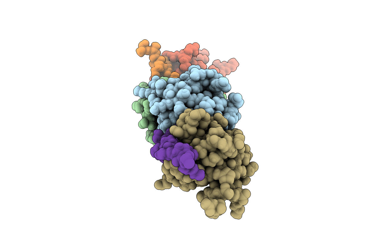 5SXP image