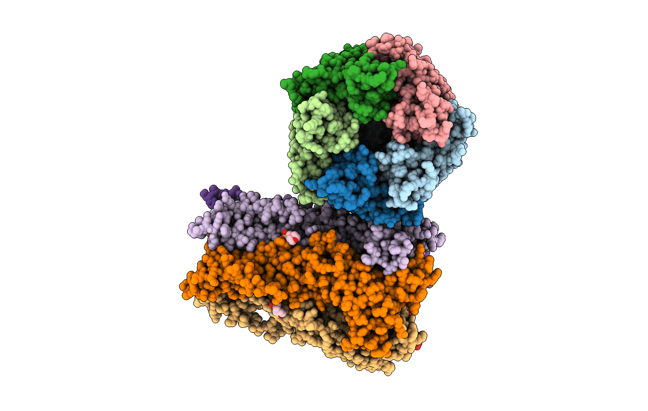 5SXV image